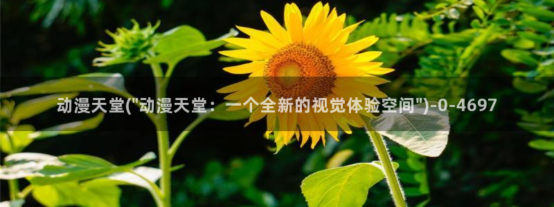 动漫培训:动漫天堂(\